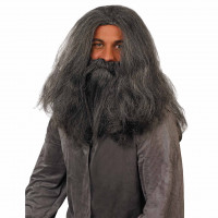 Long Grey Wizard Wig & Beard