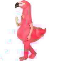 Flamingo Inflatable Costume
