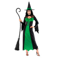 Womens Wicked Witch Costume Green 